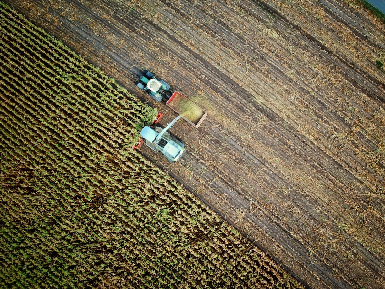 Jak transformovat zemědělství na klimaticky chytré